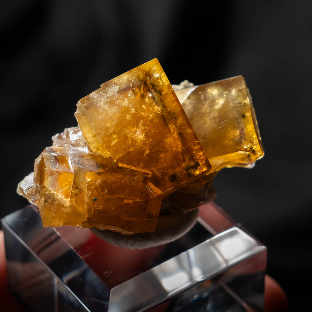 fluorite frohnau germany