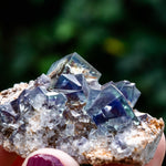 fluoriet weardale UK
