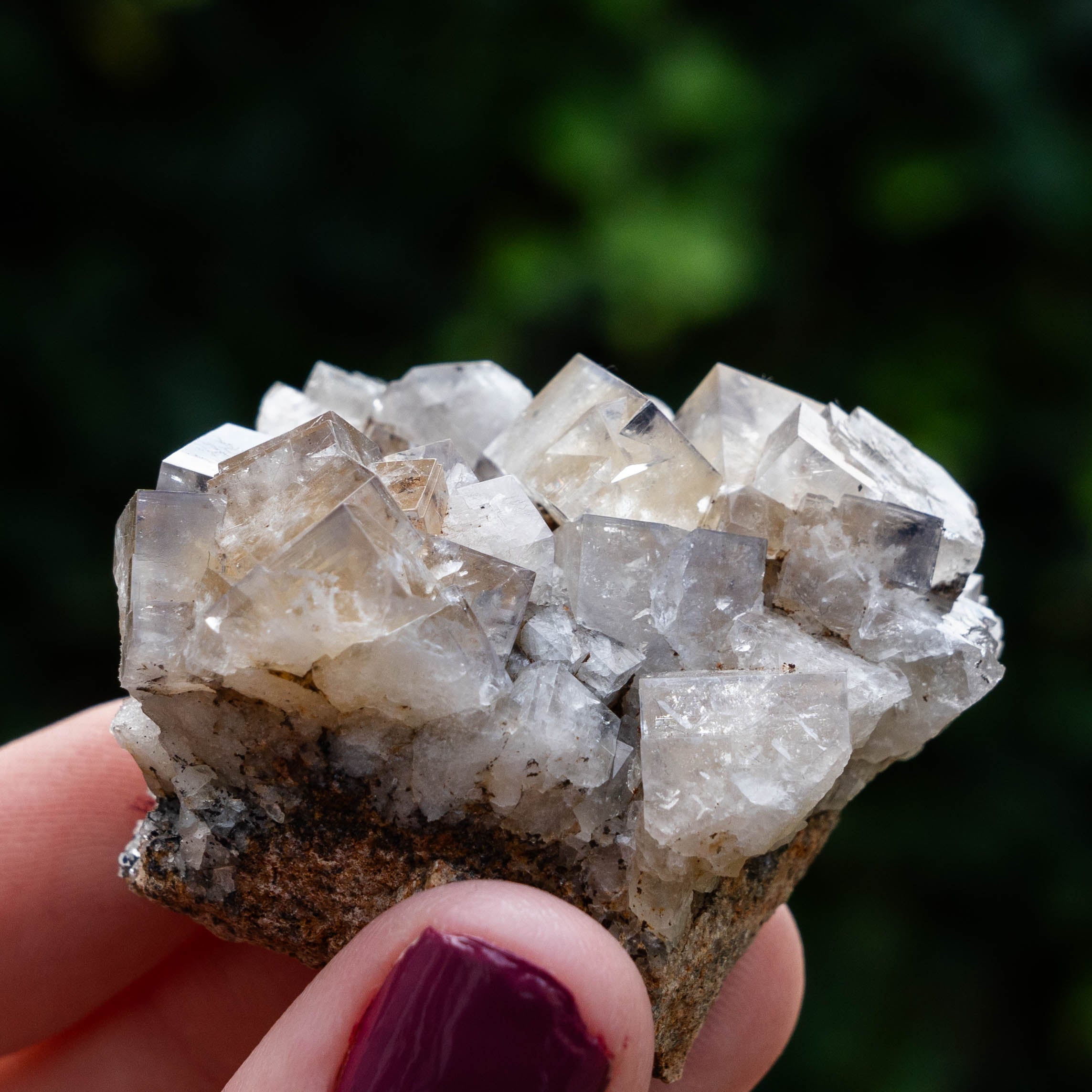 fluoriet weardale UK