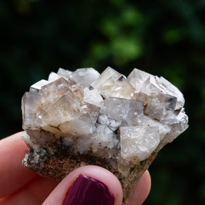 fluoriet weardale UK