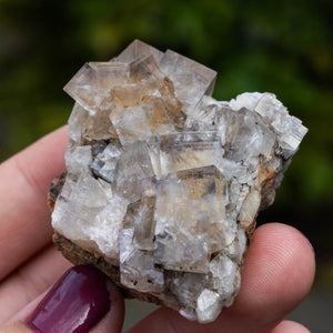 fluoriet weardale UK