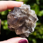 fluoriet weardale UK