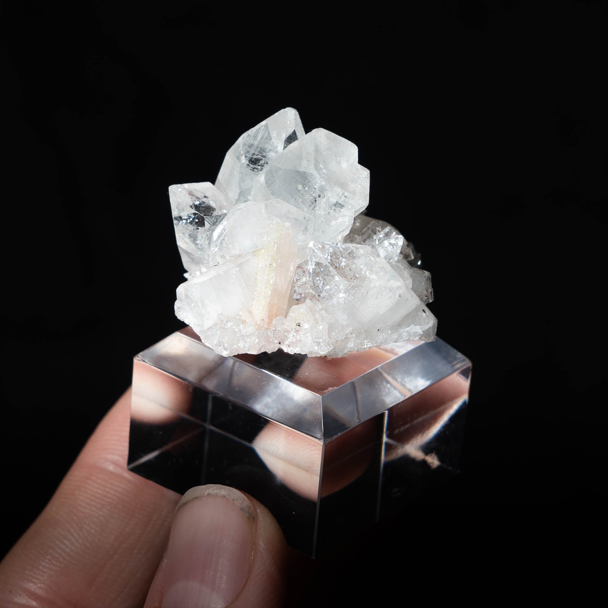 Apofyliet uit India #6