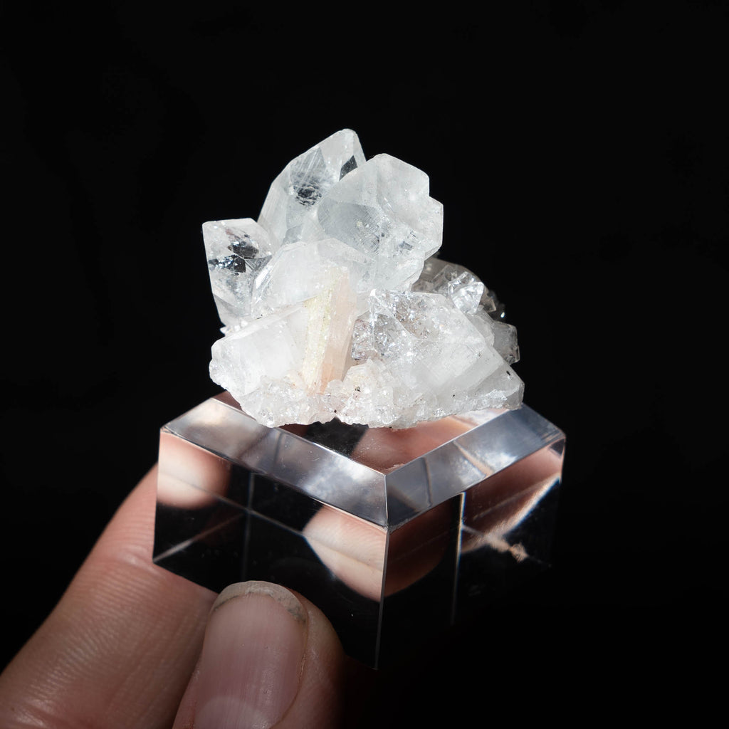 Apofyliet uit India #6