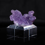 druifagaat indonesië