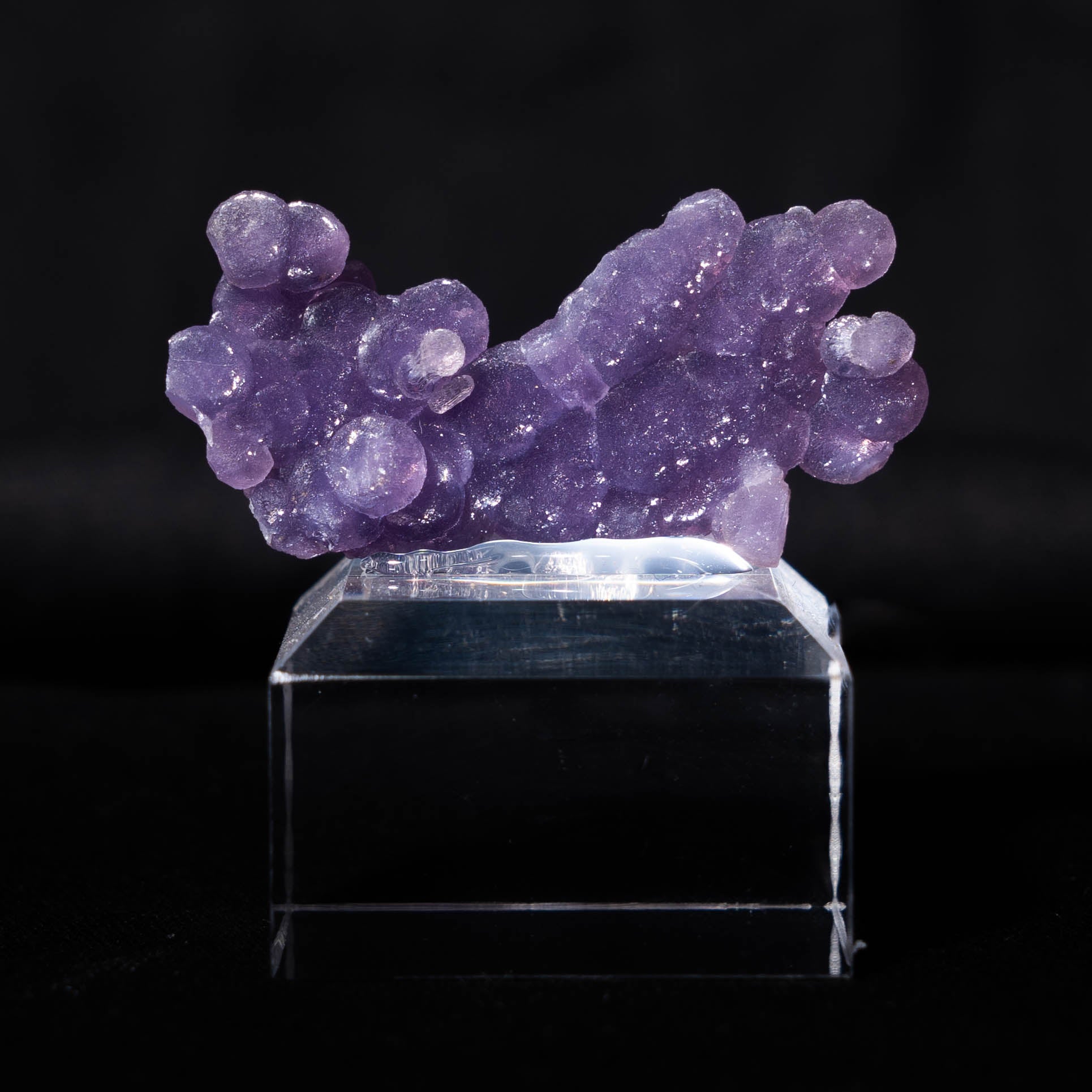 druifagaat indonesië