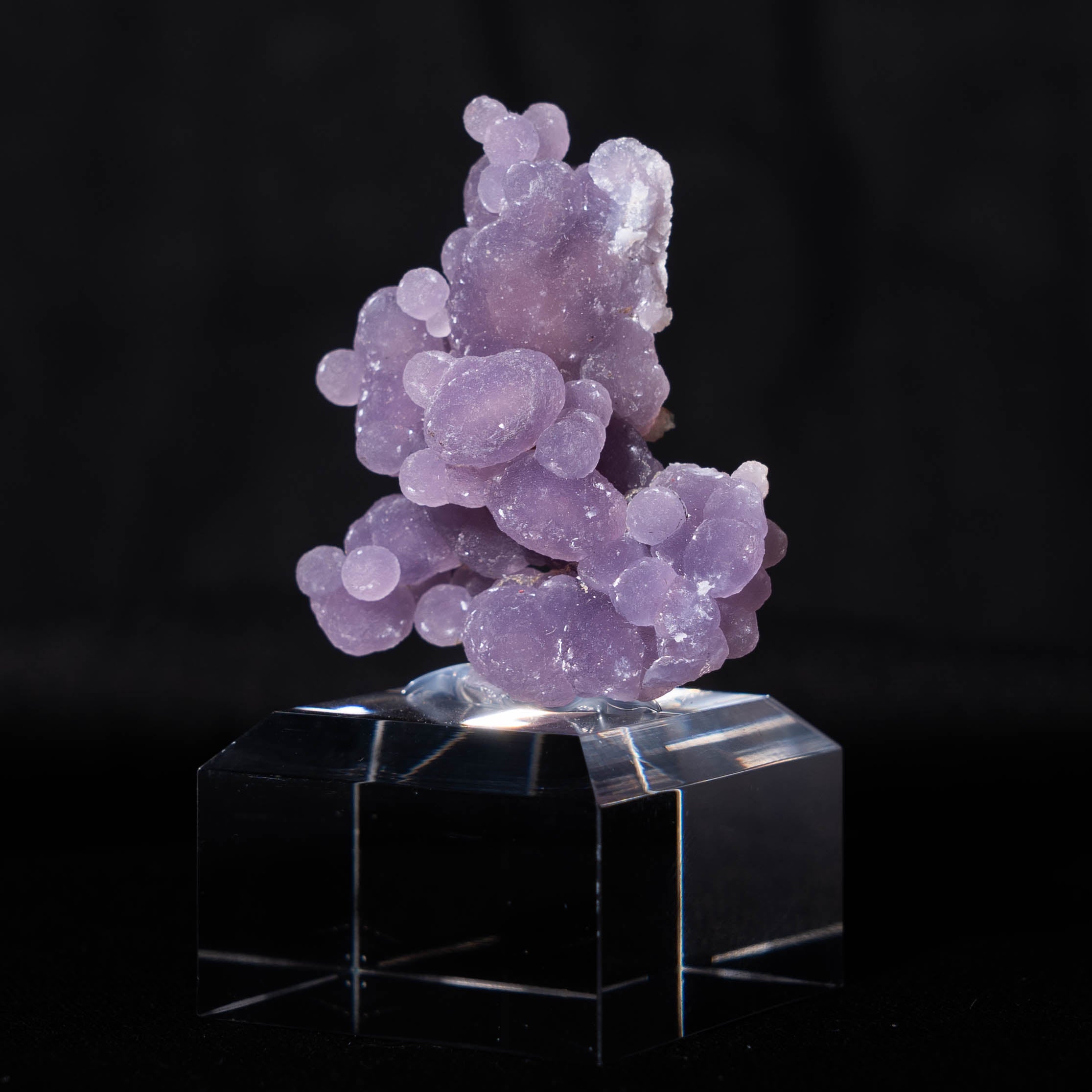 druifagaat indonesië