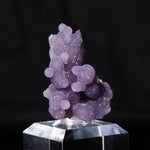 druifagaat indonesië