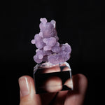 druifagaat indonesië