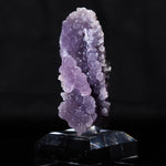 druifagaat indonesië