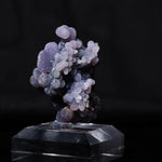 druifagaat indonesië