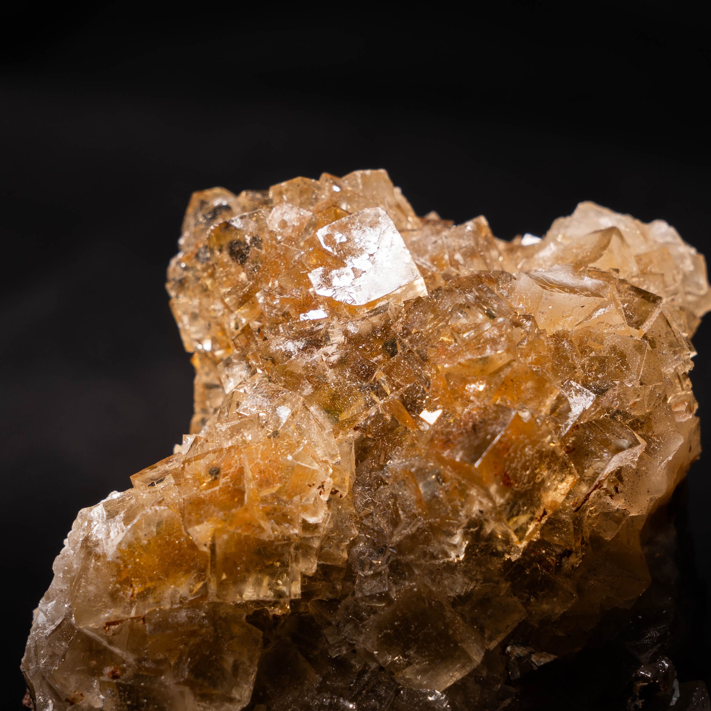 fluoriet moscona spanje