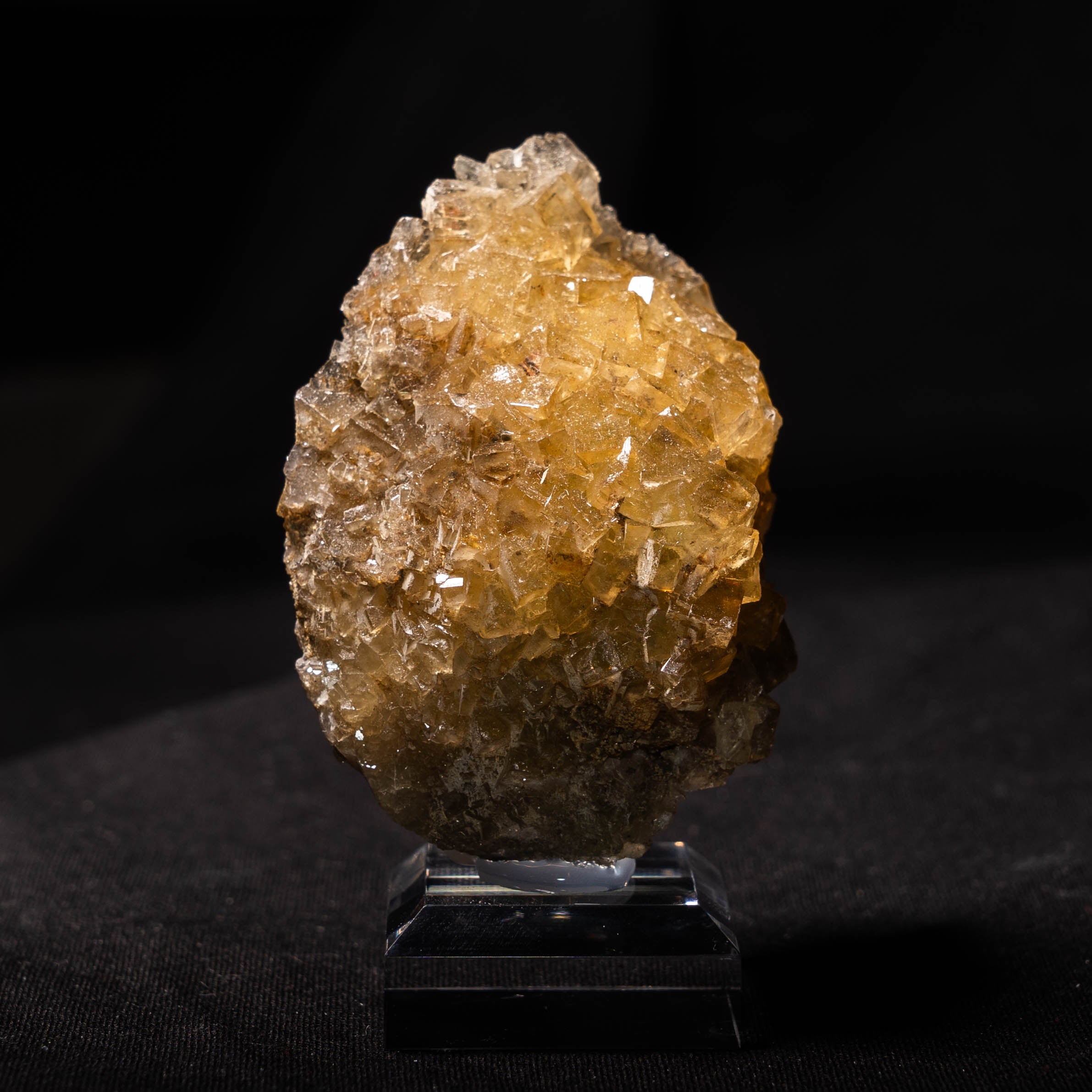 fluoriet moscona spanje