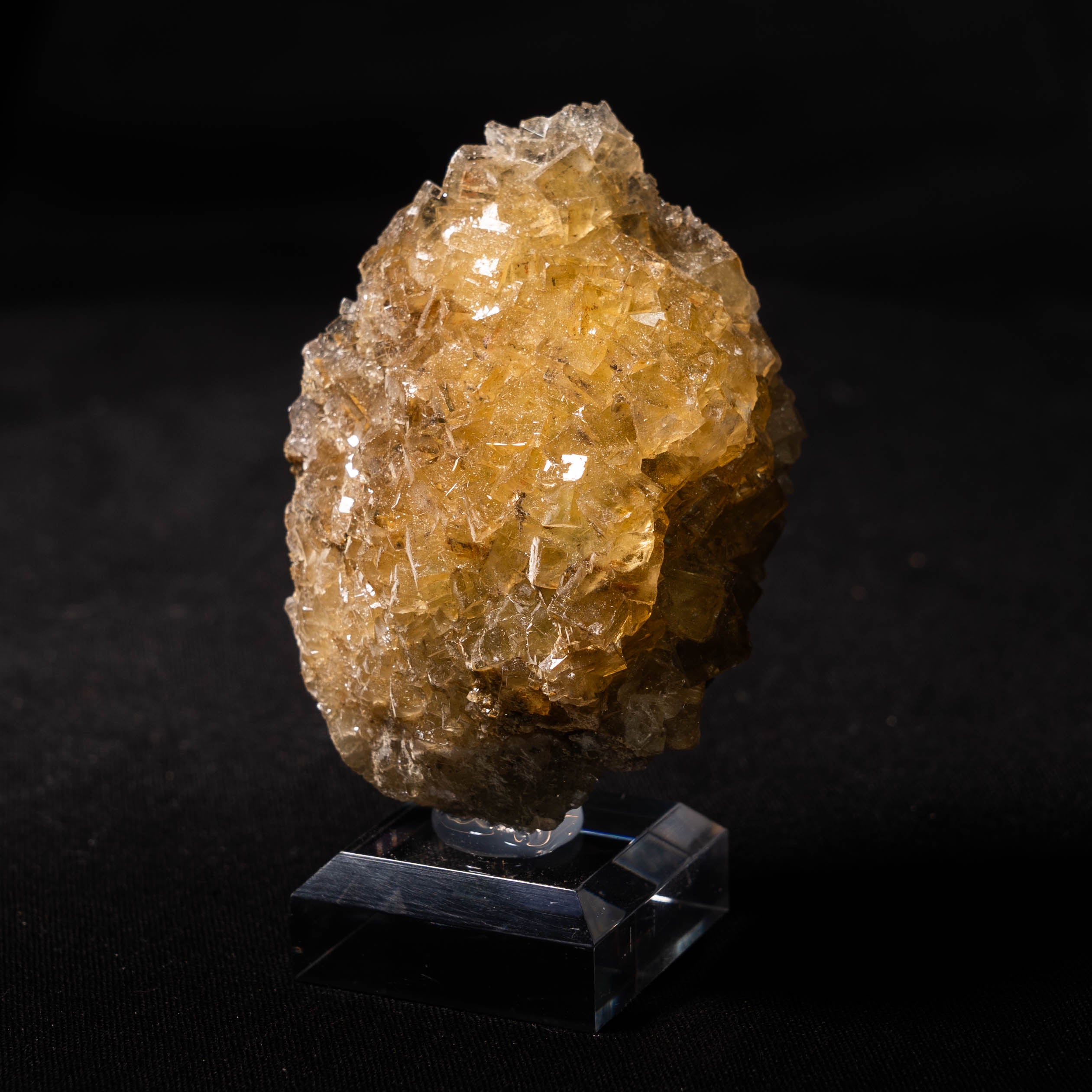 fluoriet moscona spanje