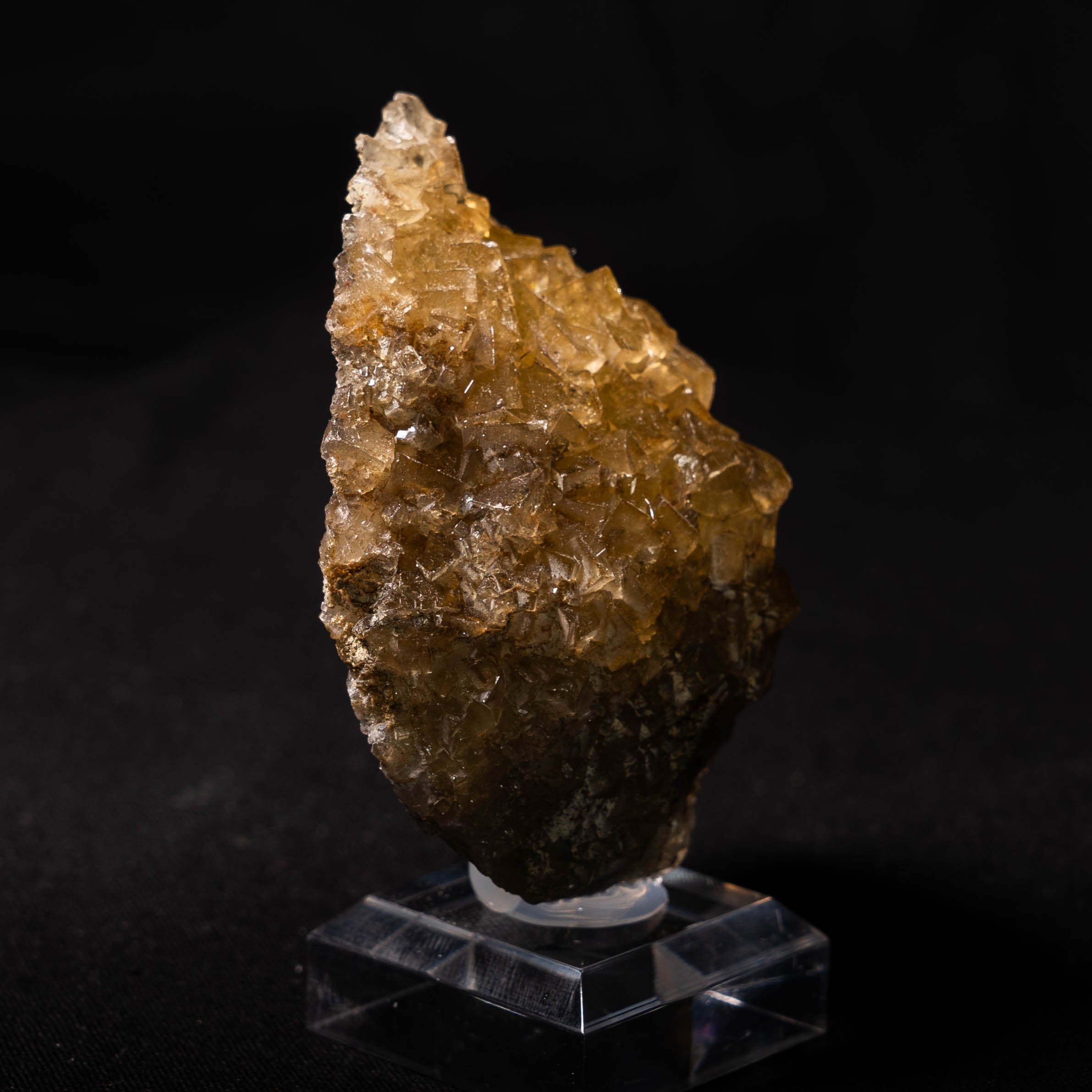 fluoriet moscona spanje