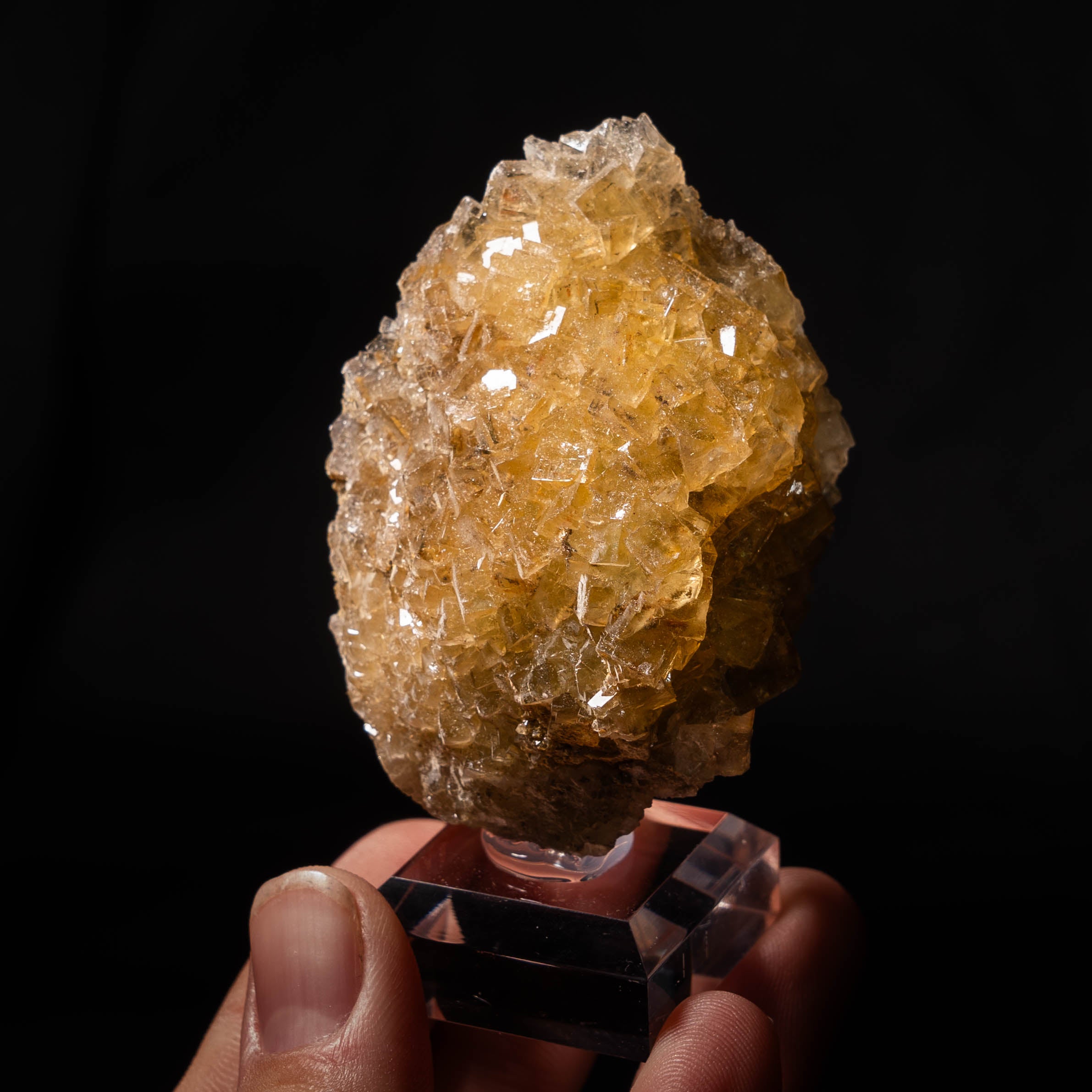 fluoriet moscona spanje