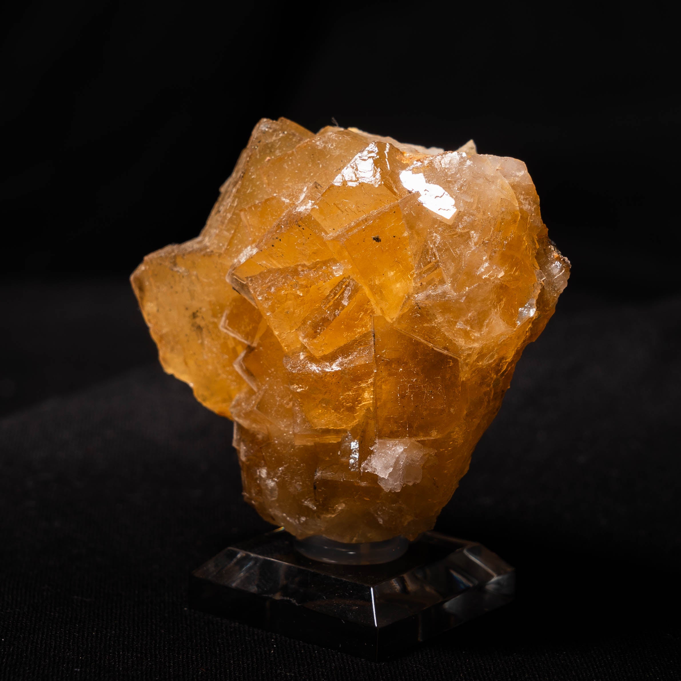 fluoriet moscona spanje