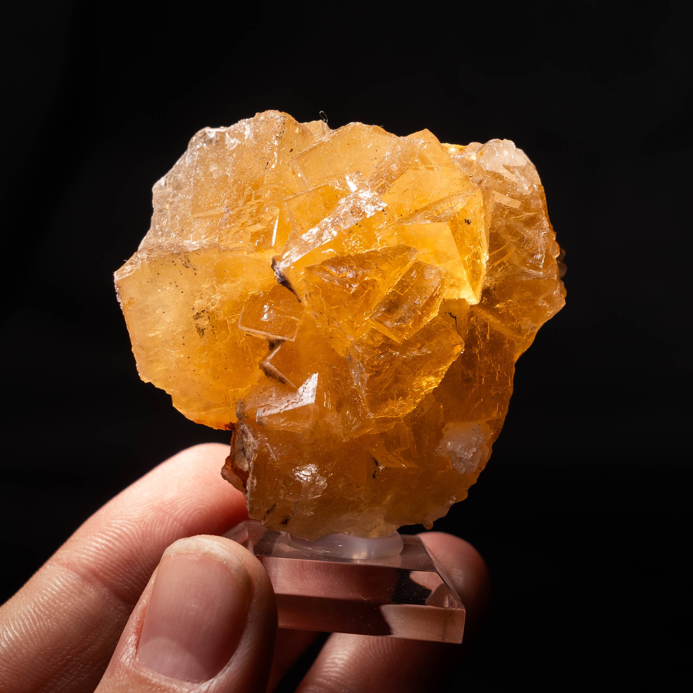 fluoriet moscona spanje