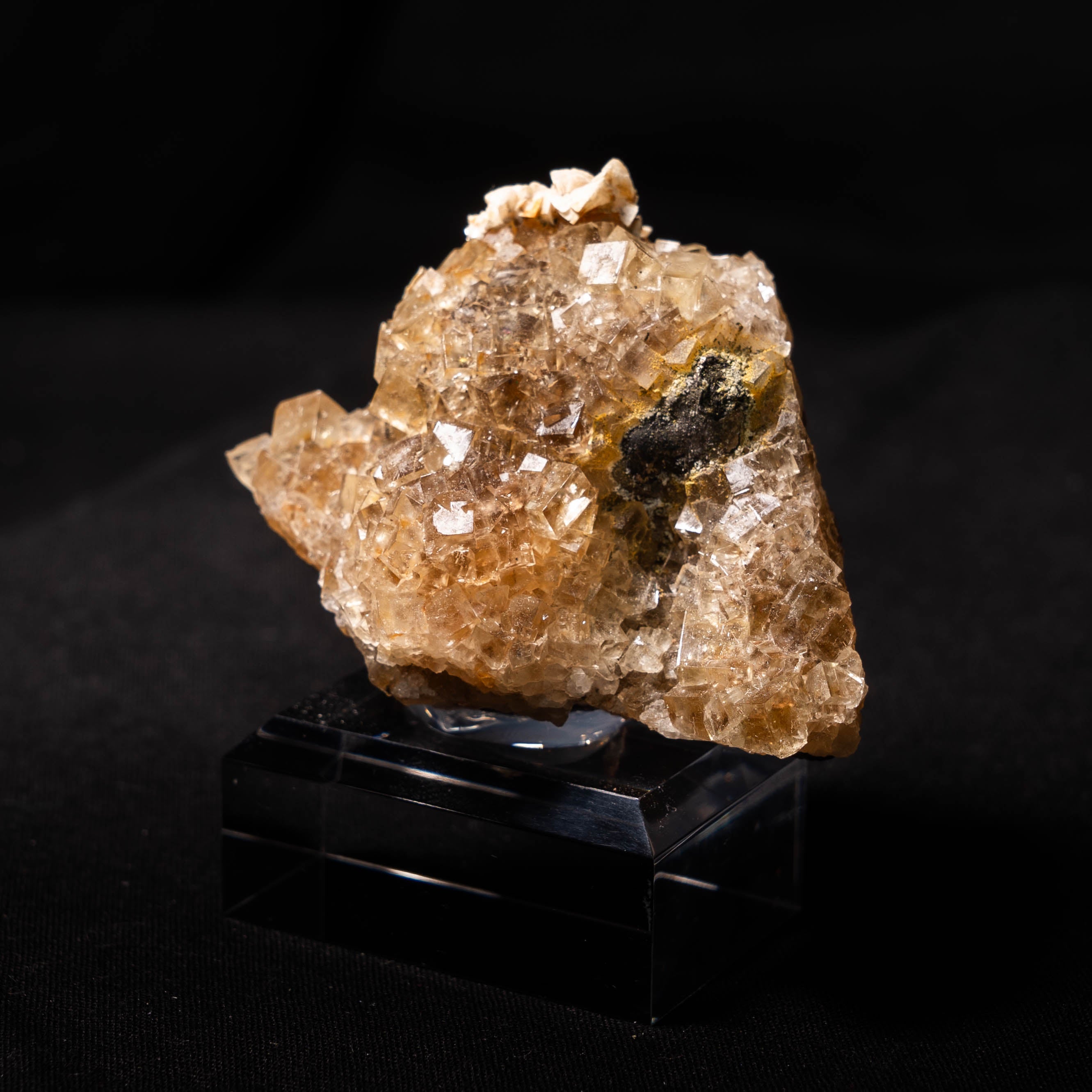 fluoriet moscona spanje