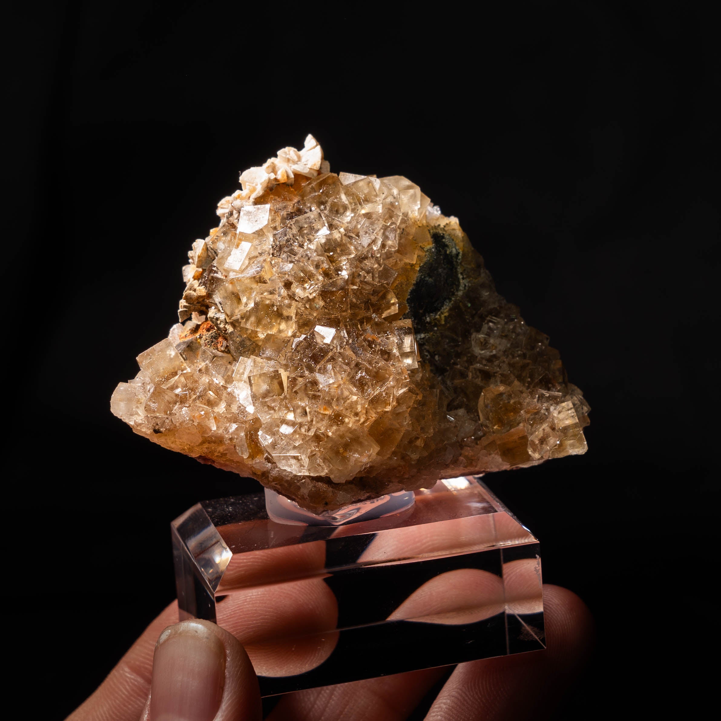 fluoriet moscona spanje