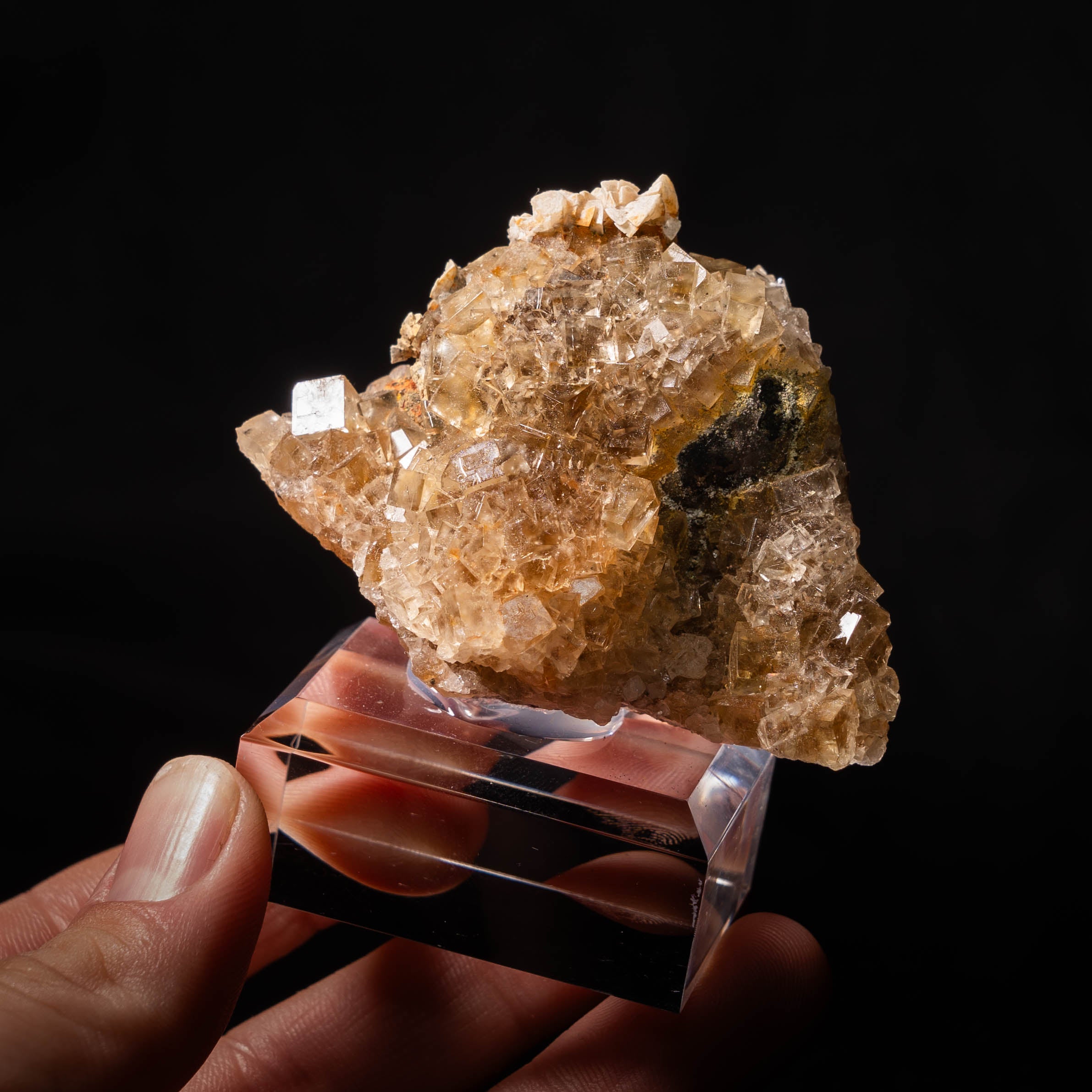 fluoriet moscona spanje