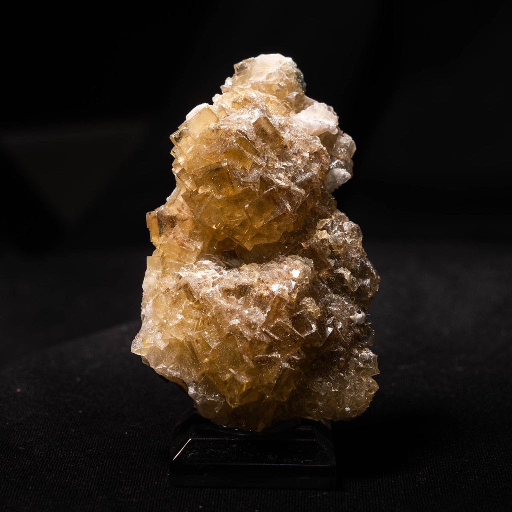 fluoriet moscona spanje