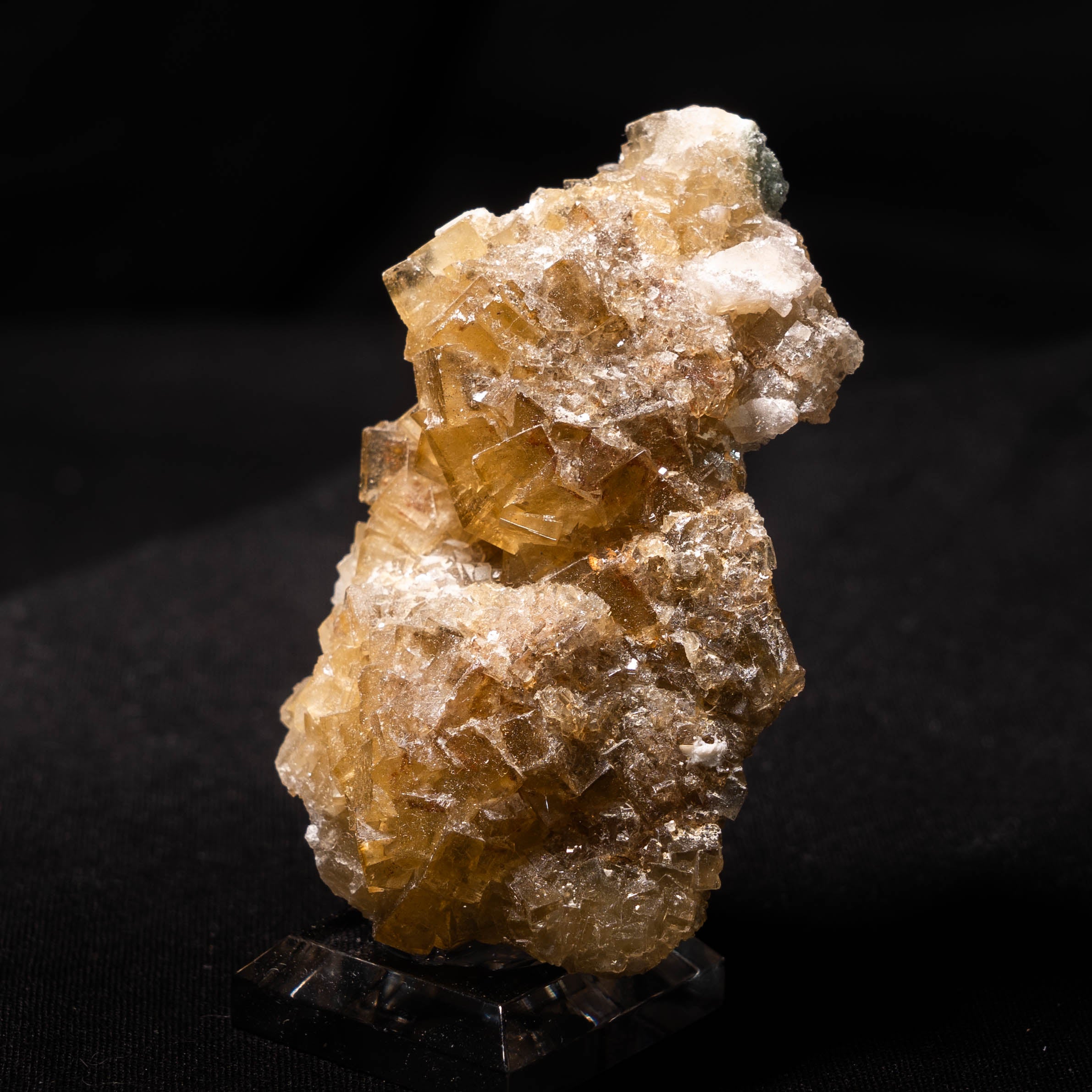 fluoriet moscona spanje