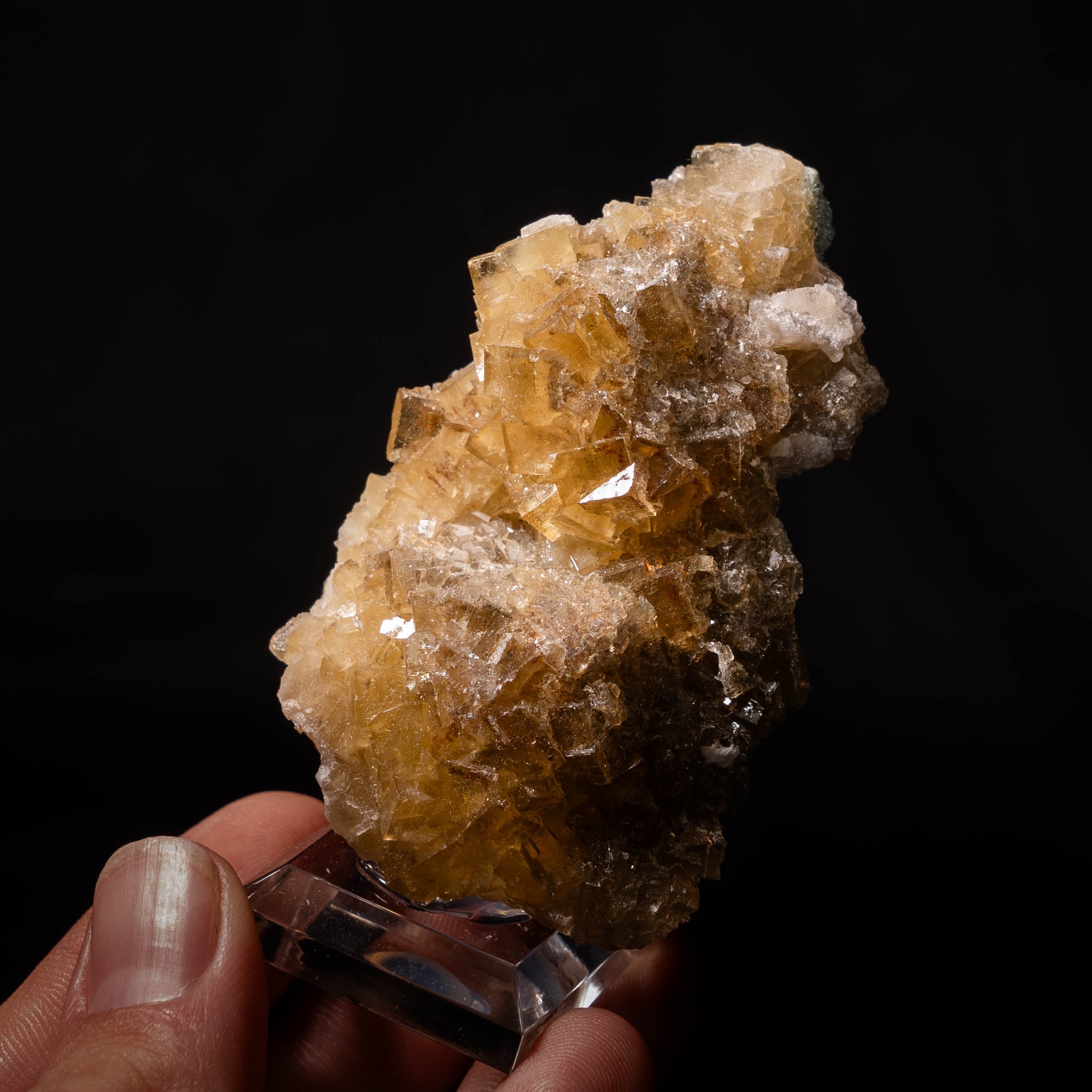 fluoriet moscona spanje