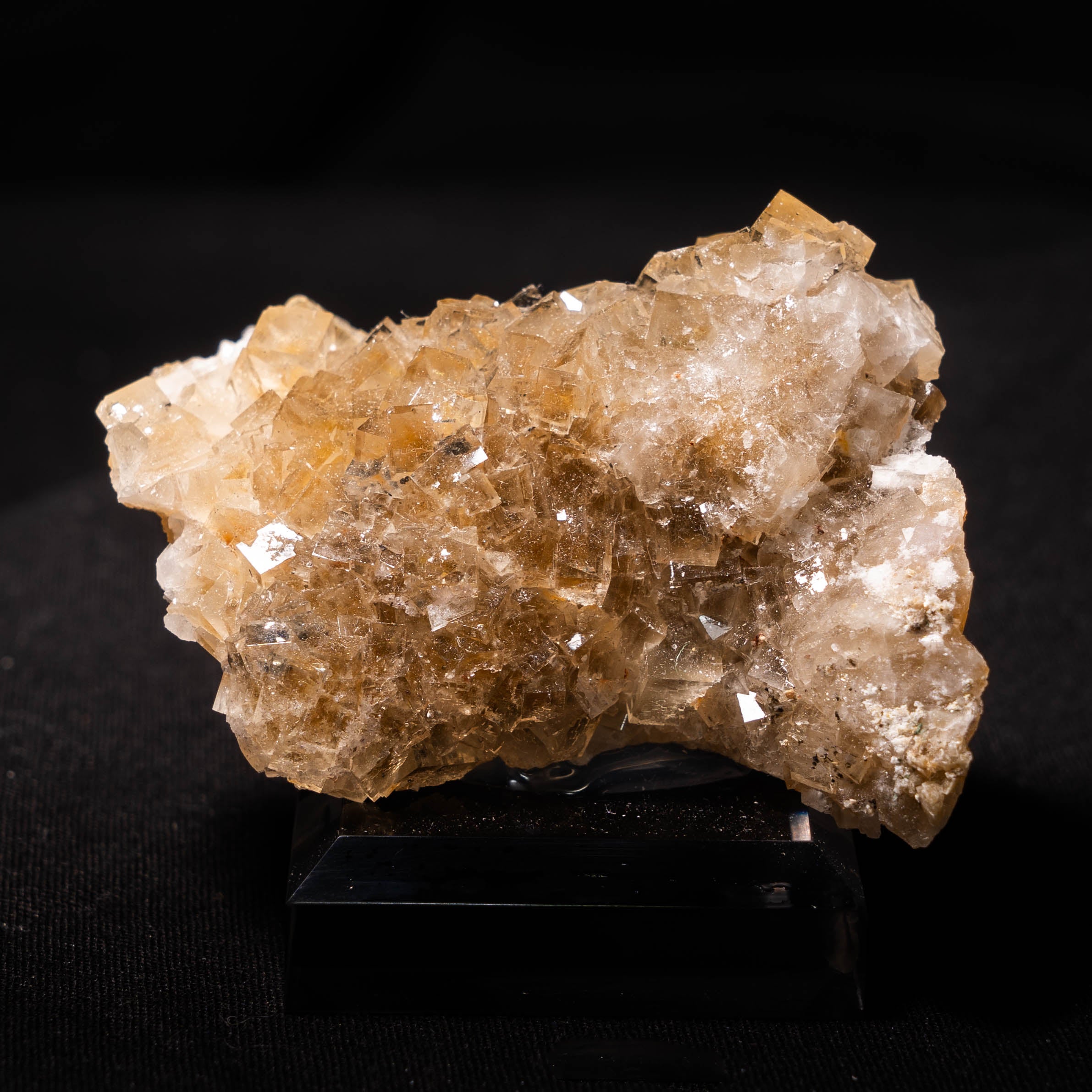 fluoriet moscona spanje