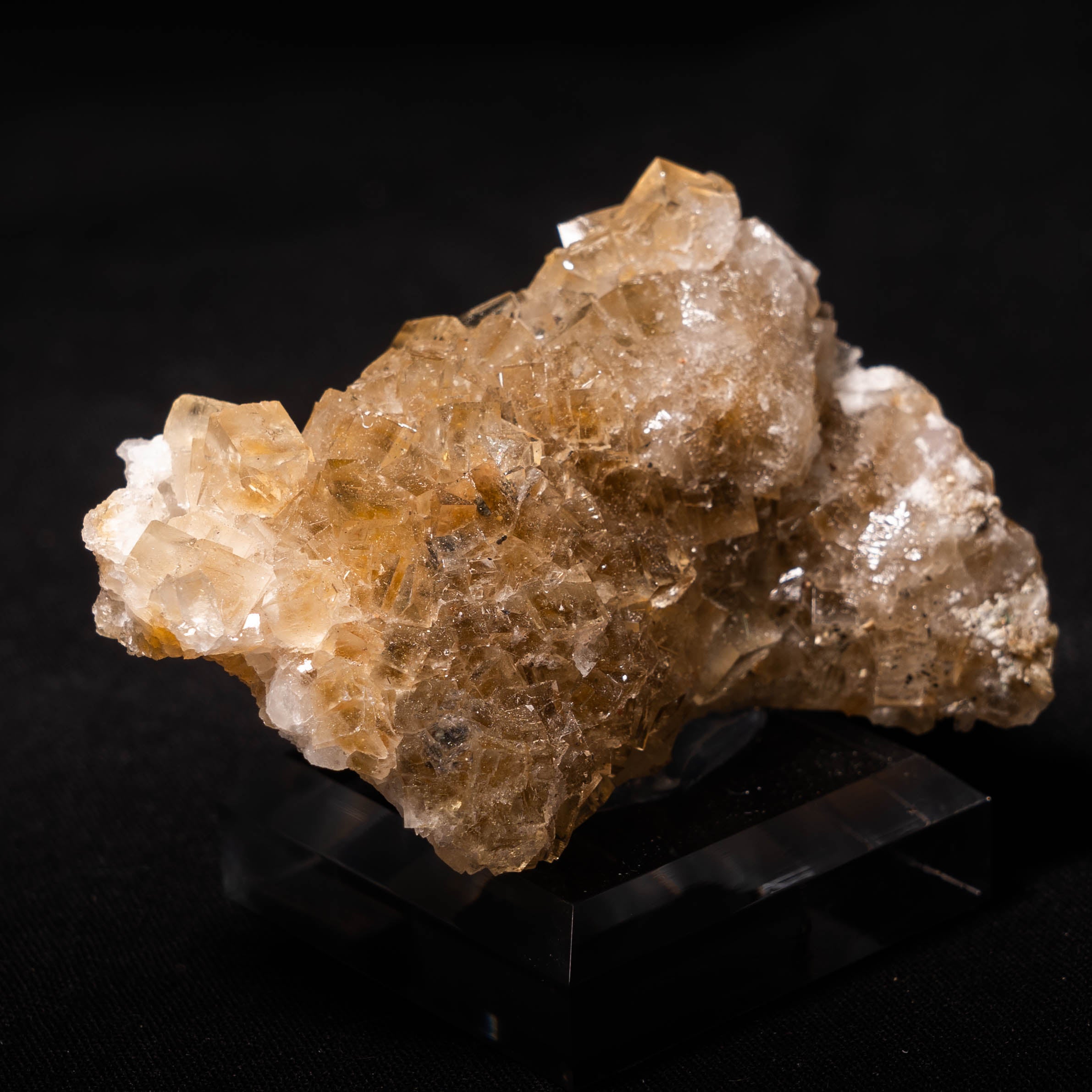 fluoriet moscona spanje