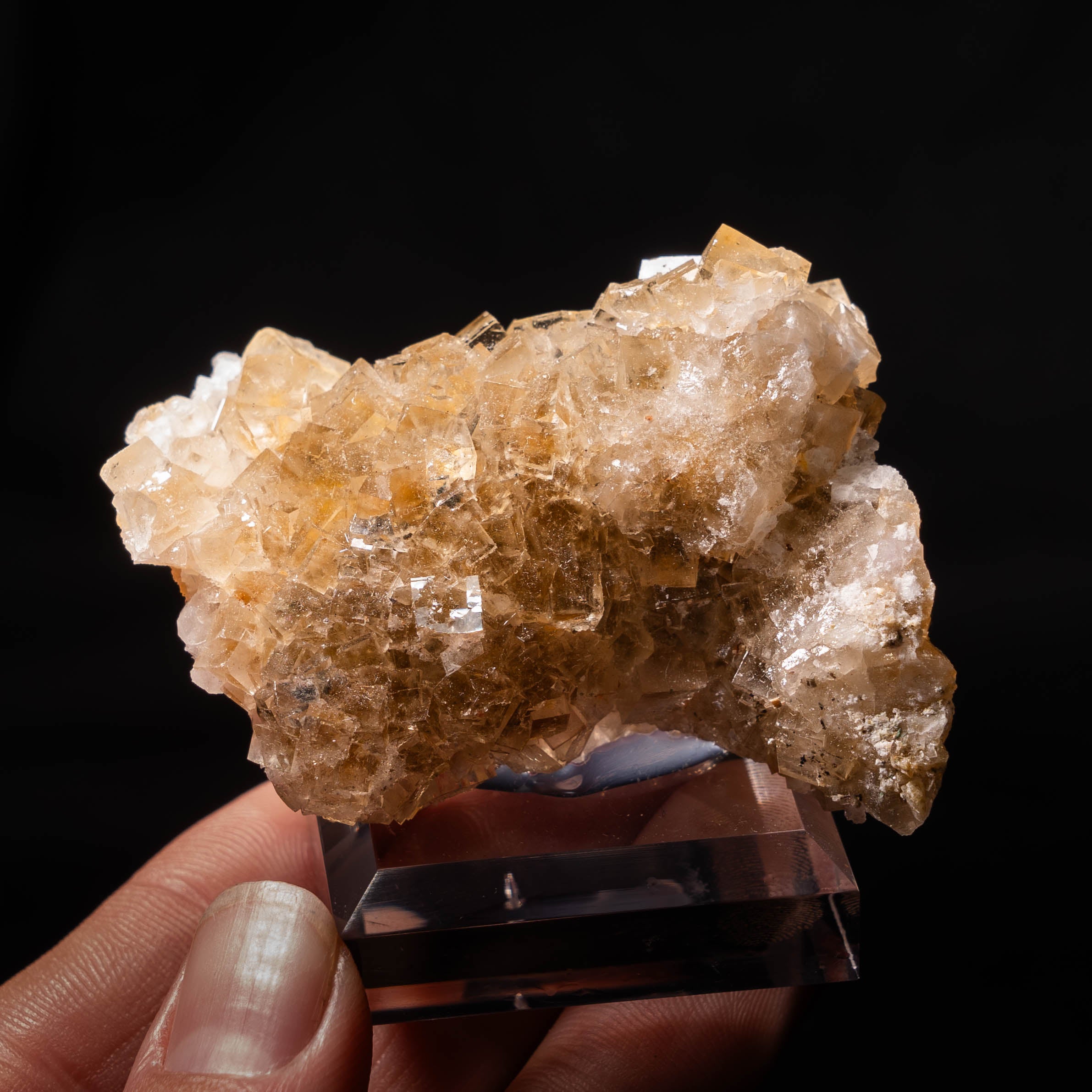 fluoriet moscona spanje