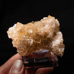 fluoriet moscona spanje