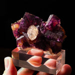 paars en gele fluoriet met calciet uit Amerika.