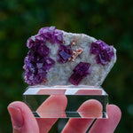 fluoriet anhui china