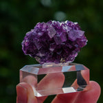 fluoriet anhui china