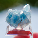 Fluoriet uit Clara #3