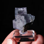 fluoriet yindu china