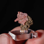 rhodochrosiet potosi mexico