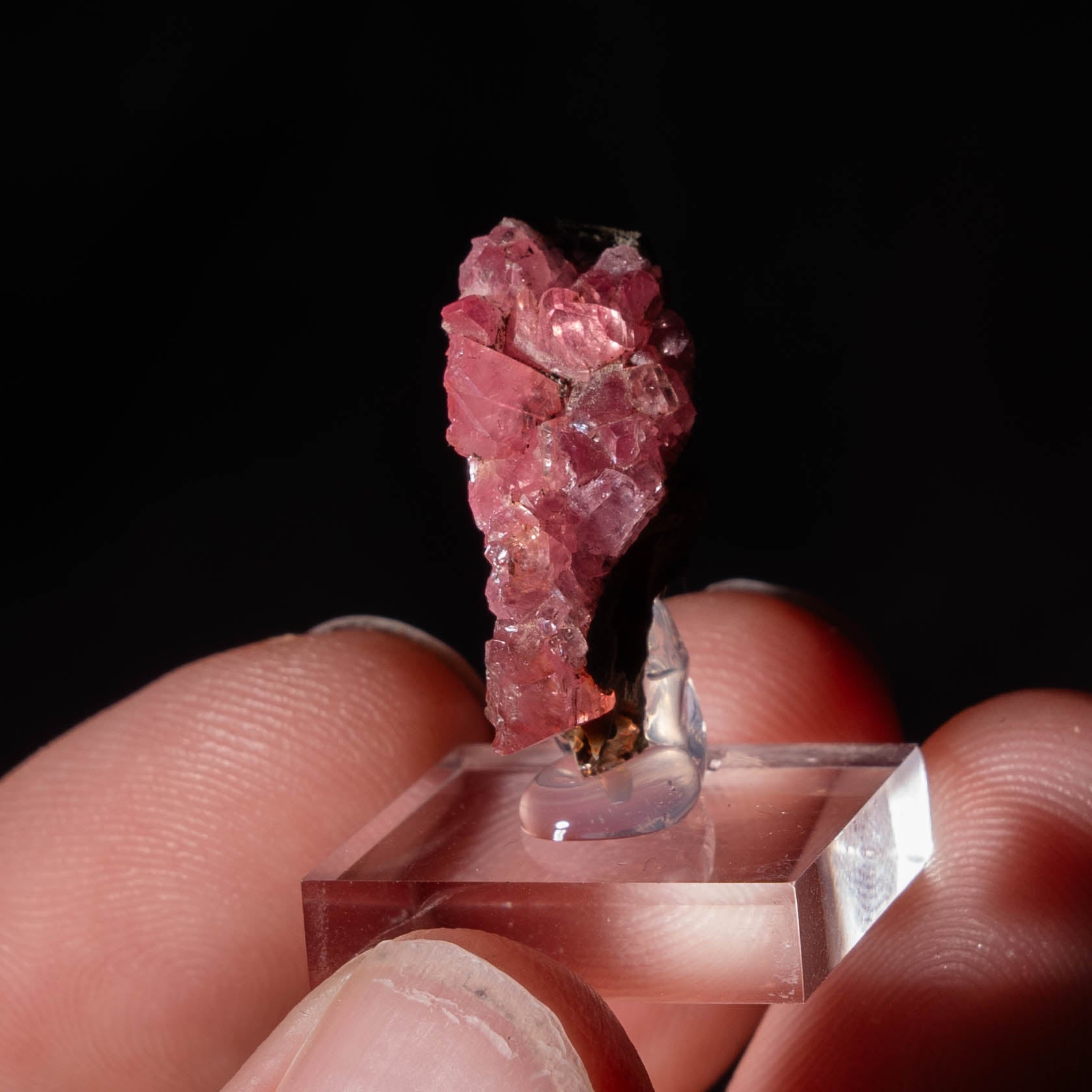 rhodochrosiet potosi mexico