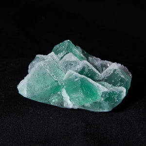 Suiker fluoriet cluster